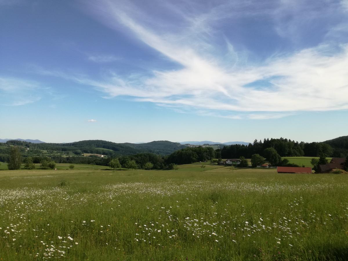 Gasthaus Zur Waldesruh Waffenbrunn المظهر الخارجي الصورة